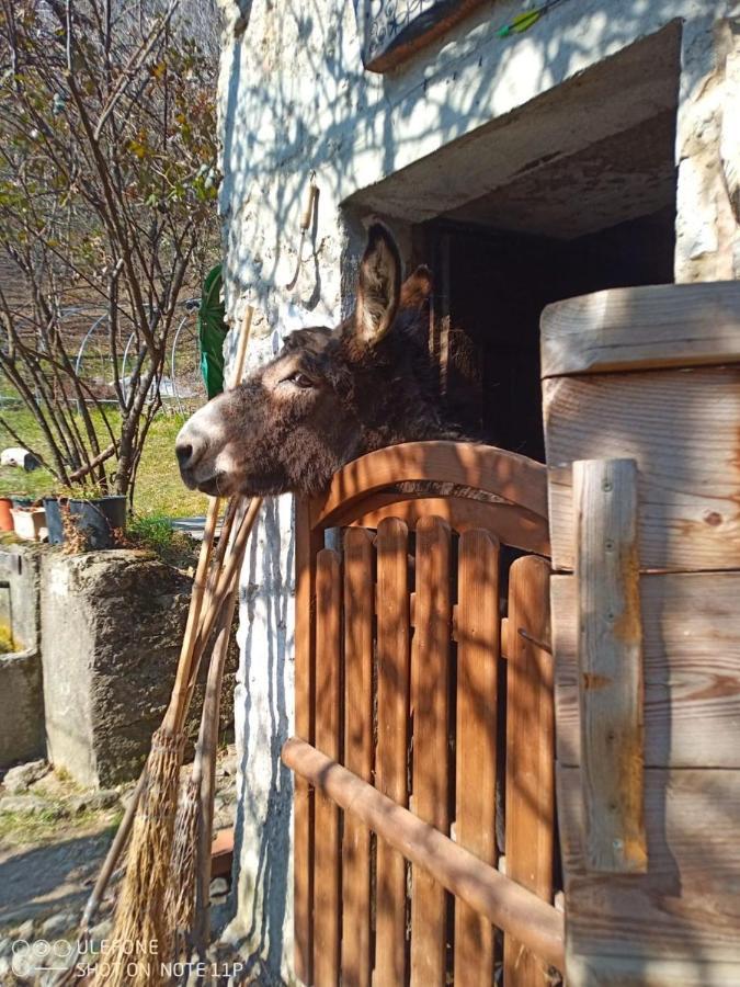 Agriturismo Cascina Gervasoni San Giovanni Bianco Eksteriør billede